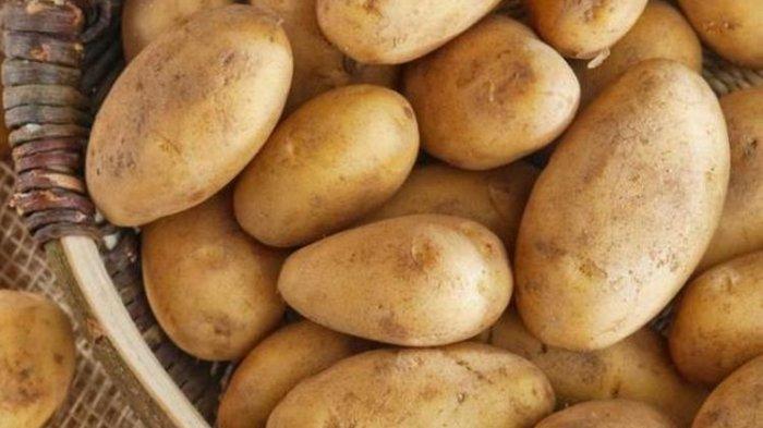 Pastikan menyimpan kentang di tempat sejuk dan kering.