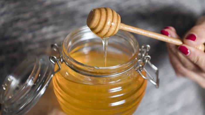 madu murni memiliki sifat antibakteri dan antimikroba