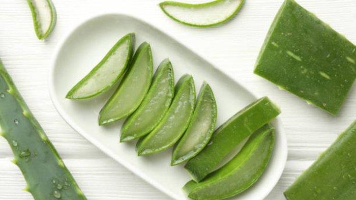 Manfaat lidah buaya untuk hempas komedo.