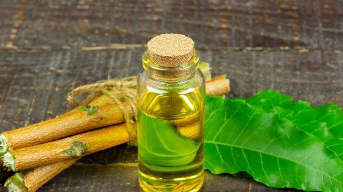 minyak nimba atau neem.