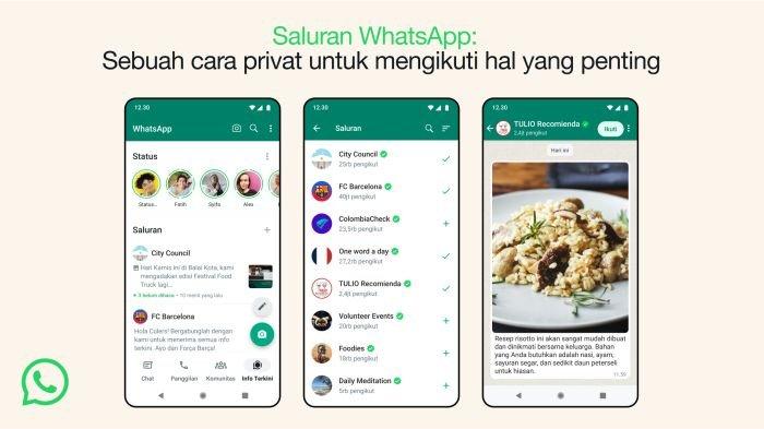 Fitur Saluran WhatsApp