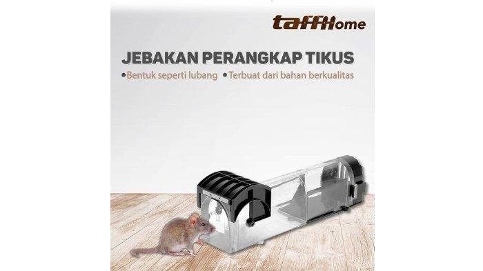 TaffHOME Jebakan Perangkap Tikus HU1999