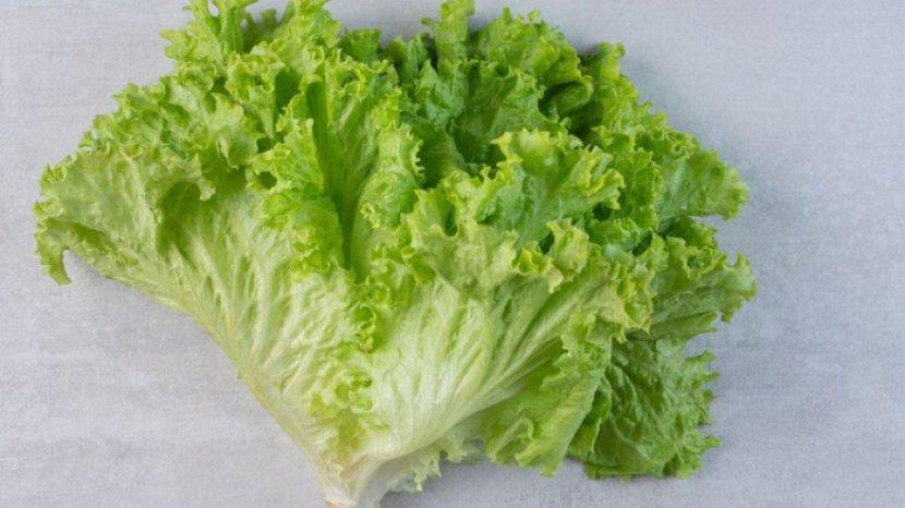 10-manfaat-selada-air-untuk-tubuhmu-kalau-dikonsumsi-rutin-tidak-hanya-sekedar-lalapan.jpg