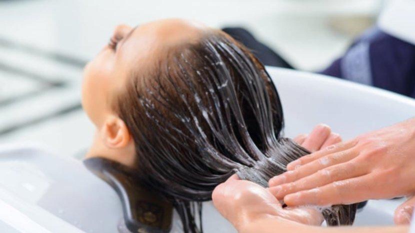 20-Daftar-Conditioner-Untuk-Rambut-Mudah-Diatur-Bisa-Dipakai-Pria-dan-Wanita.jpg