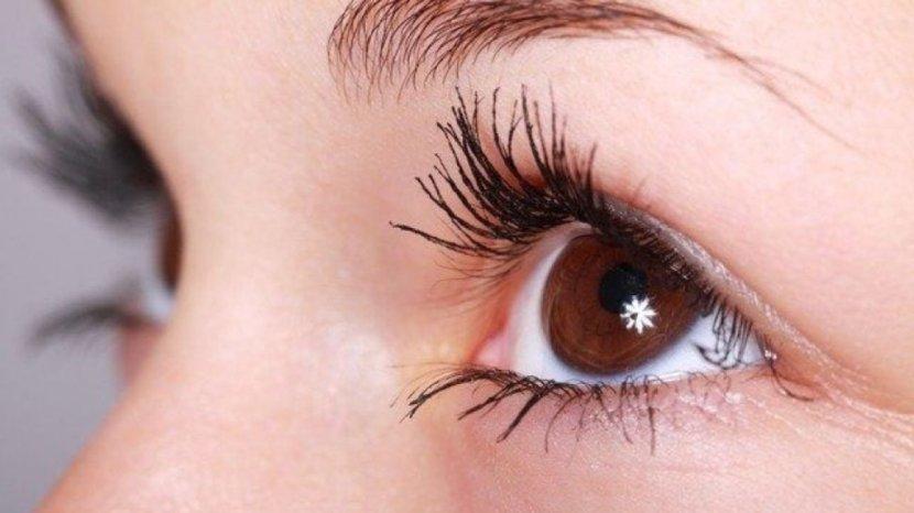20-Daftar-Mascara-untuk-Tampilan-Bulu-Mata-Terlihat-Tebal-dan-Anti-Luntur-j.jpg