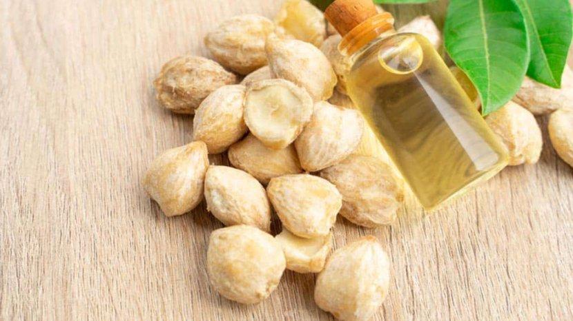 4 Rekomendasi Candlenut Oil Terbaik: Minyak Kemiri untuk Menyuburkan Rambut