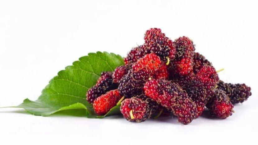 4 Keunggulan Buah Mullberry untuk Kulit, Salah Satunya dapat Mencegah Kerutan Penuaan Dini