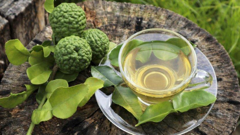 4 Manfaat Terbaik Air Rebusan Daun Jeruk Purut untuk Tubuh dan Cara Membuatnya