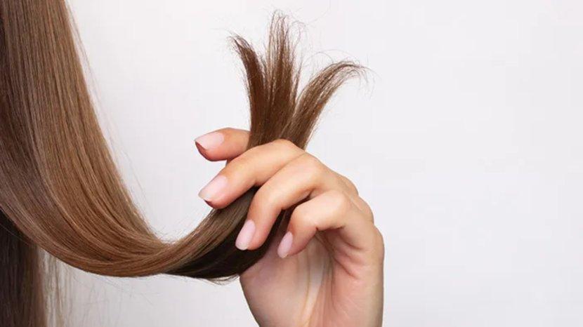 5 Rekomendasi Hair Serum untuk Rambut Bercabang: Solusi Perawatan Rambut Di Rumah