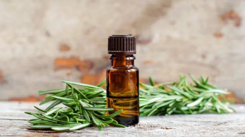 5 Rekomendasi Rosemary Oil: Solusi Terbaik untuk Atasi Rambut Rontok