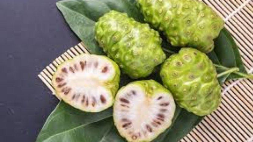 5-manfaat-menarik-dari-buah-mengkudu-untuk-kecantikan-bisa-sebagai-anti-aging-alami.jpg