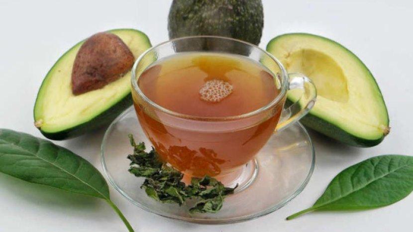 6 Manfaat Air Rebusan Daun Alpukat Untuk Kesehatan, Bisa Cegah Batu Ginjal