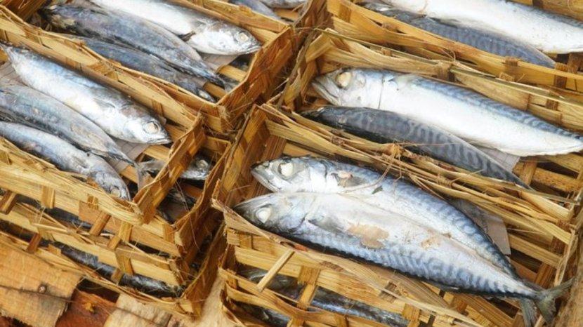 7-Manfaat-Ikan-Pindang-untuk-Kesehatan-Tubuh-Jika-Dikonsumsi-Secara-Rutin.jpg
