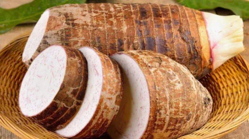 7-Manfaat-dan-Kandungan-Nutrisi-Talas-untuk-Kesehatan-Tubuh.jpg