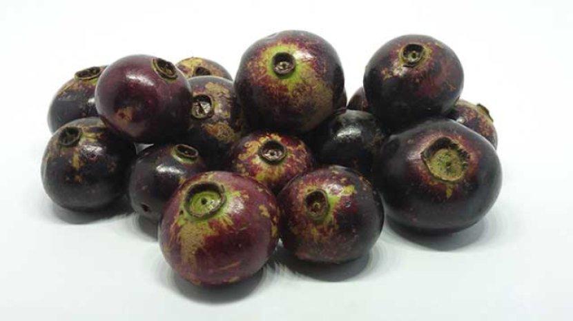 7-manfaat-buah-kupa-atau-gowok-untuk-kesehatan-bisa-lancarkan-pencernaan.jpg