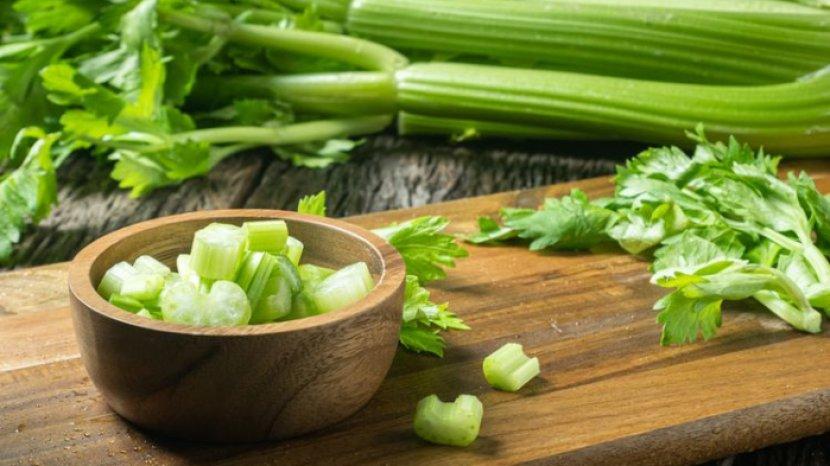 7-manfaat-daun-dan-batang-seledri-untuk-kesehatan-tubuhmu.jpg