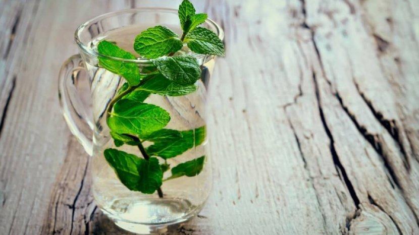 7 Manfaat Daun Mint yang Dicampur ke Air untuk Infused Water