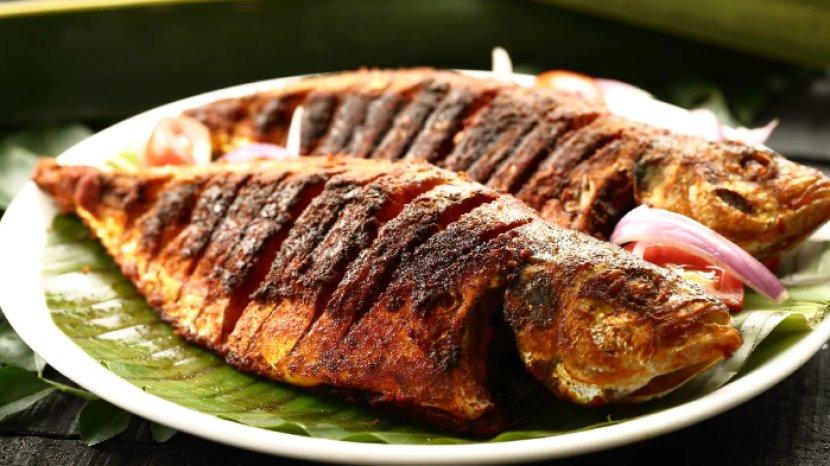 7-manfaat-ikan-gabus-untuk-kesehatan-dan-kandungan-nutrisinya.jpg