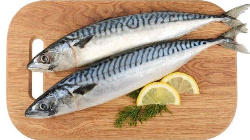 7-manfaat-ikan-tenggiri-untuk-tubuh-benarkah-bisa-cegah-anemia.jpg