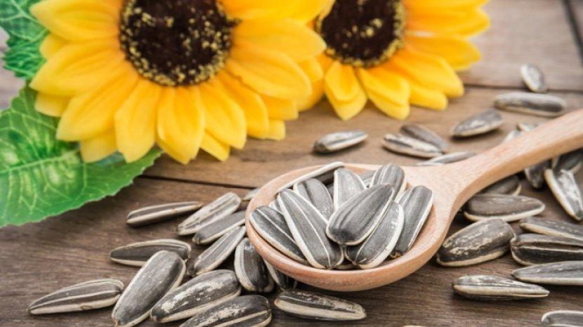 7 Kebaikan Kuaci untuk Kesehatan, Camilan Enak dan Aman untuk Tubuh