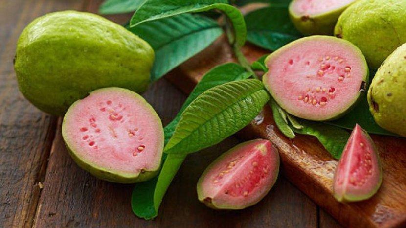 7 Khasiat Menakjubkan Jambu Biji untuk Kesehatan Tubuh, Apa Saja Kandungan Vitaminnya?