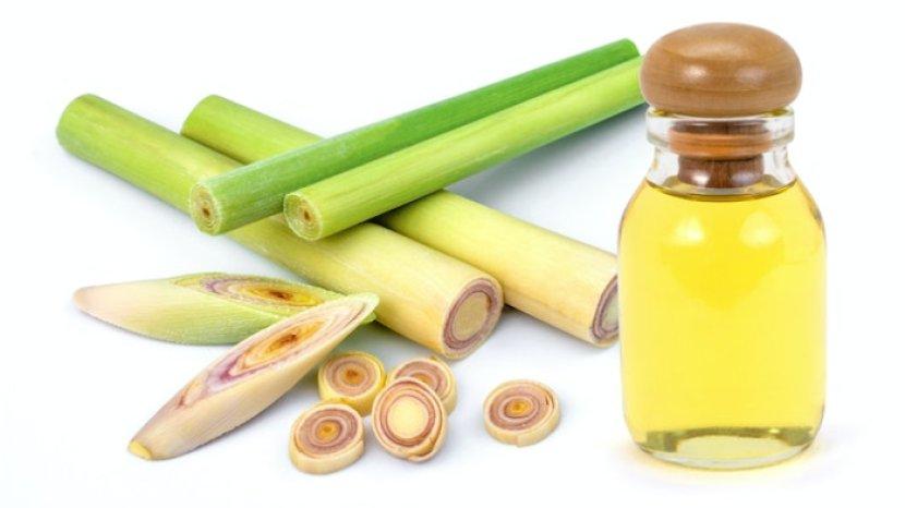 7 Manfaat Minyak Serai untuk Kesehatan yang Jarang Diketahui Banyak Orang
