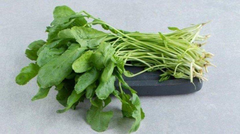 7 Manfaat Selada Air untuk Kesehatan, Salah Satunya Meningkatkan Kesehatan Otak