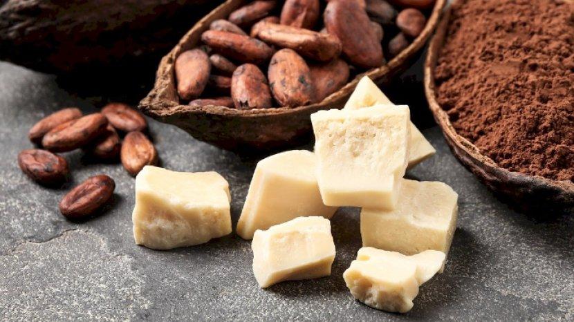 7-manfaat-terbaik-cocoa-butter-untuk-kulit-hingga-kesehatan-bahan-utama-dalam-skincare.jpg