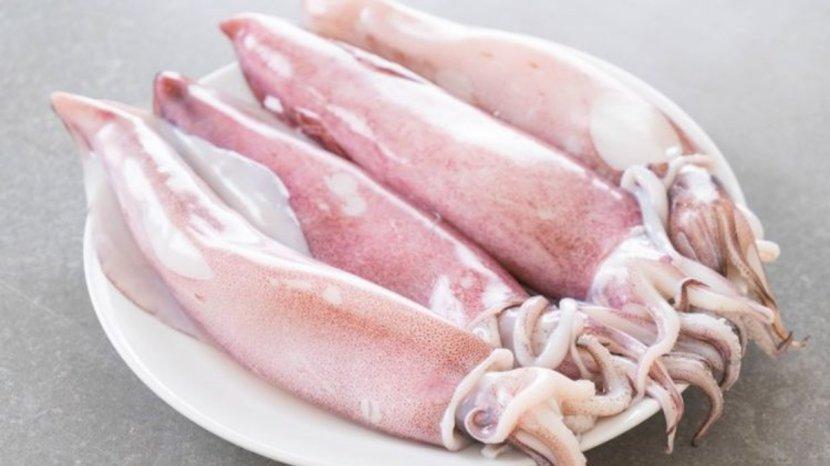 8 Manfaat Menarik Cumi-cumi untuk Menunjang Kesehatan Tubuh Manusia