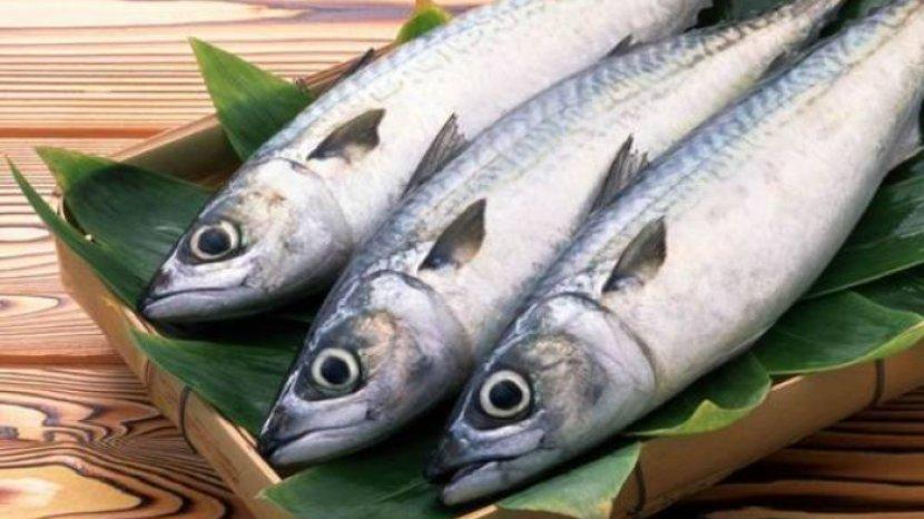 9 Jenis Ikan yang Sebaiknya Dihindari Penderita Asam Urat