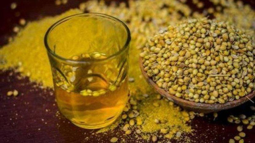 9 Manfaat Air Rebusan Biji Ketumbar Buat Kesehatan yang Tak Banyak Orang Tahu