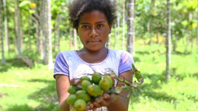 9-manfaat-kesehatan-buah-pinang-untuk-tubuh-buah-yang-sering-dikonsumsi-masyarakat-papua.jpg