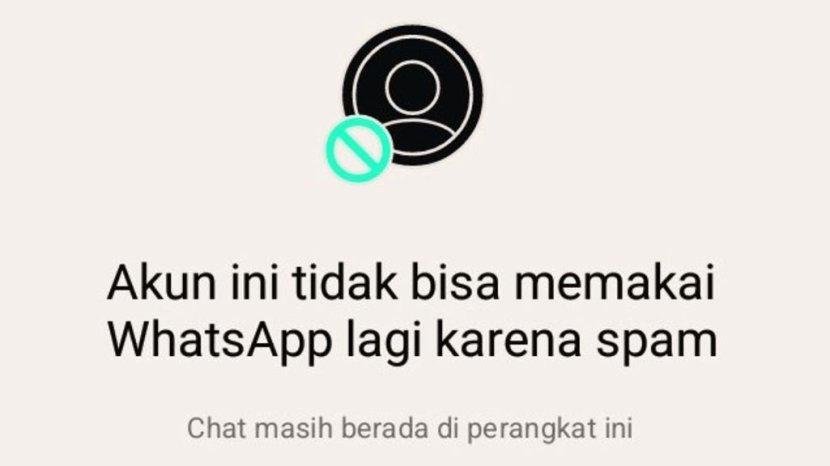Langkah Mudah Memulihkan Akun WhatsApp yang Terkena Spam
