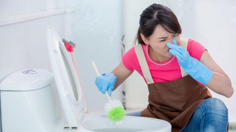 10 Cara Ampuh Mengatasi Bau Pesing di Kamar Mandi, Aroma Kembali Segar dengan Cepat