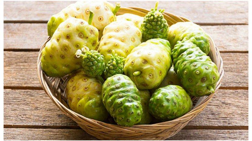 Buah-mengkudu-mengandung-vitamin-mineral-dan-antioksidan-yang-baik-untuk-kecantikan.jpg
