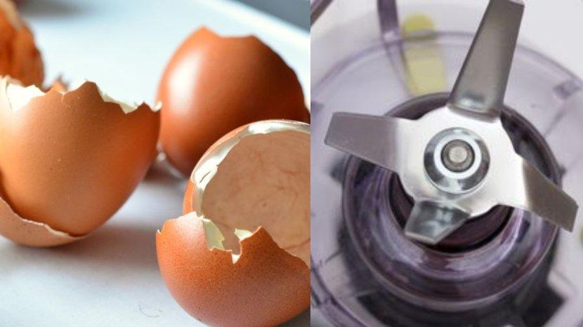 Cangkang-telur-bisa-membantu-menajamkan-pisau-blender-secara-praktis.jpg