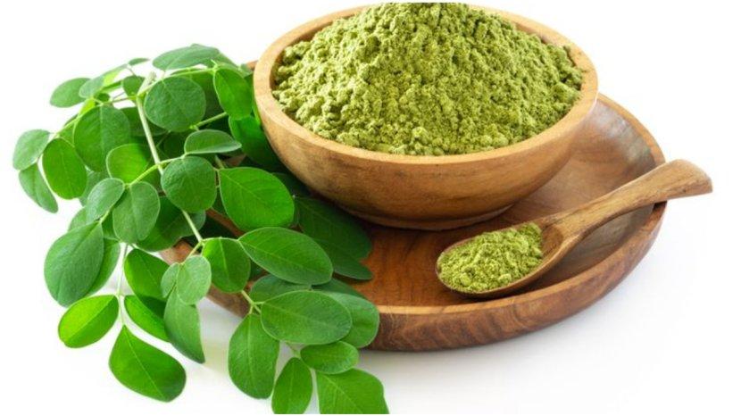 Daun-kelor-ternyata-mengandung-banyak-nutrisi-yang-bisa-menunjang-kecantikan-kulit-secara-alami.jpg