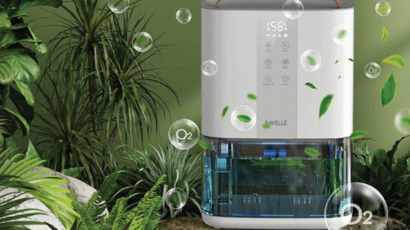 Cek 10 Manfaat Dehumidifier, Bagus untuk Ruangan yang Lembap