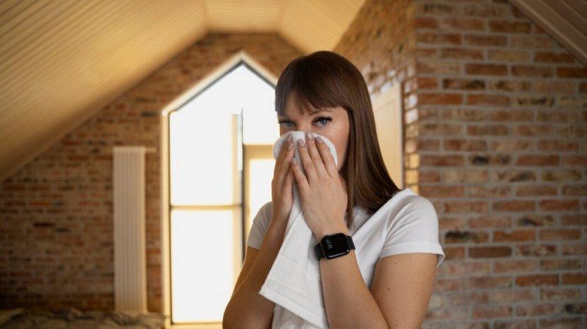8 Tips Ampuh Atasi Rumah yang Lembap, Hempas Udara Pengap dan Jamur