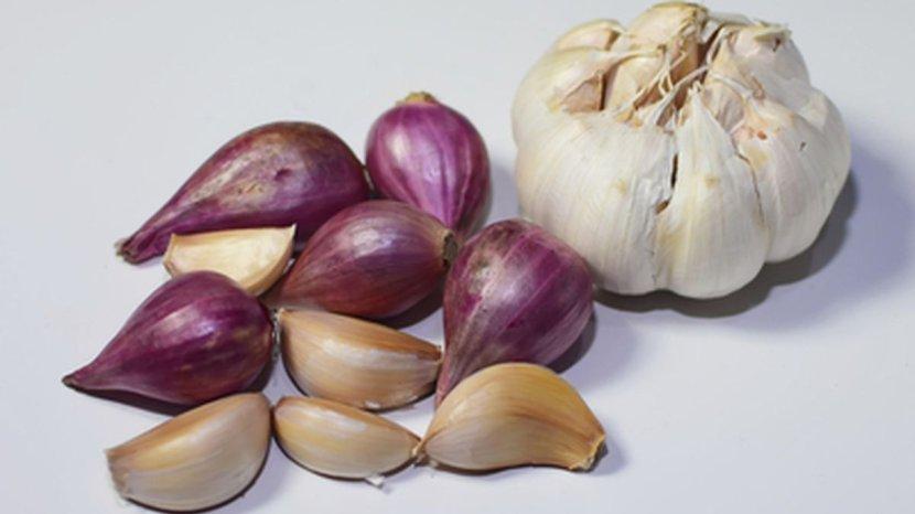 Ilustrasi-bawang-merah-dan-bawang-putih-yang-perlu-penyimpanan-secara-tepat.jpg