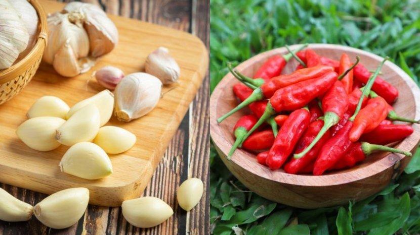 Ilustrasi-cabai-dan-bawang-putih-yang-bisa-menjadi-pestisida-alami.jpg