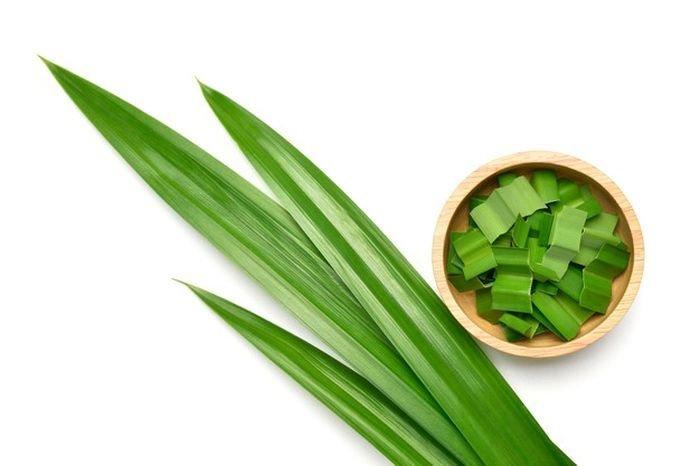 Ilustrasi-daun-pandan-untuk-berbagai-keperluan-rumah-tangga-terutama-atasi-bau.jpg