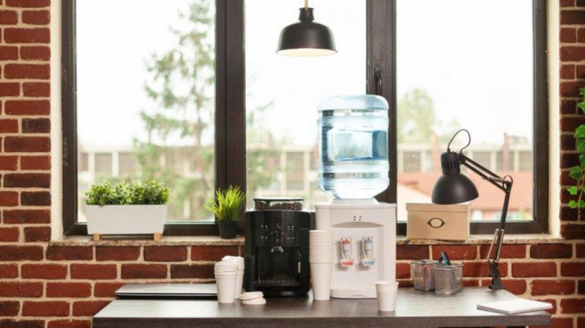 10 Kesalahan Penyebab Dispenser Air Kemasukan Semut