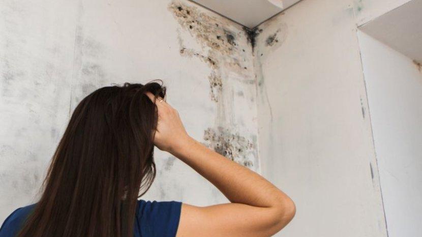 6 Cara Membersihkan Bekas Jamur Kehitaman atau Black Mold di Dinding Tanpa Mengecat Ulang