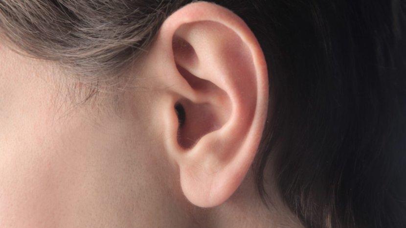 Cara Atasi Lubang Anting di Telinga yang Tertutup, Bisa Pakai Baby Oil atau Minyak Zaitun