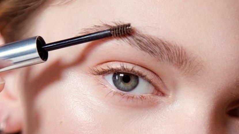 Ilustrasi-pengaplikasian-brown-browcara.jpg