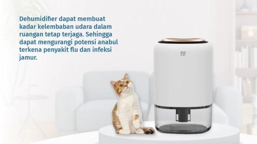 Ilustrasi-penggunaan-NOTALE-Dehumidifier-Suvo-Air-Dryer.jpg