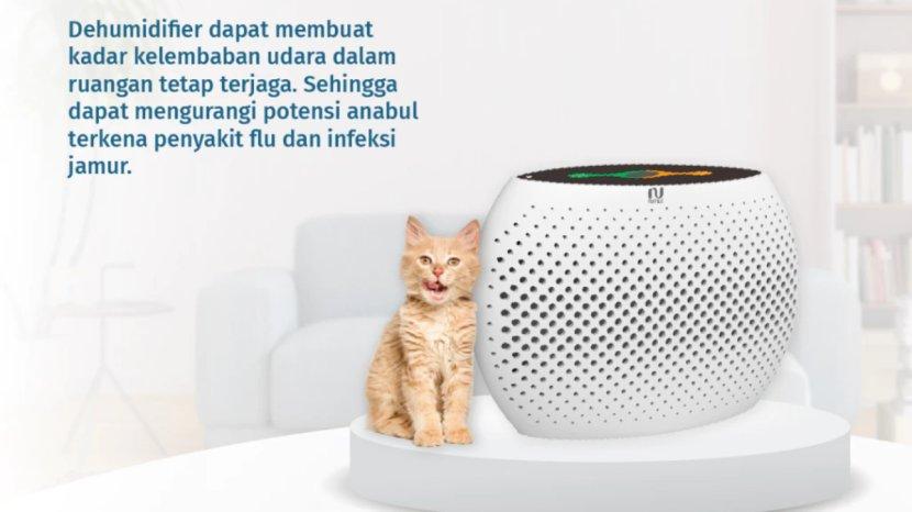 Ilustrasi-penggunaan-NOTALE-Mini-Dehumidifier-Air-Dryer.jpg