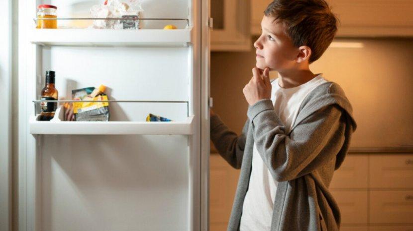 Bukan Karena Rusak, Hindari 10 Kesalahan yang Bikin Kulkas Tidak Dingin