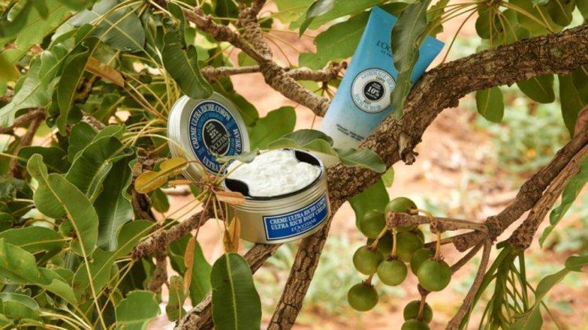 Ilustrasi-produk-skincare-berbahan-shea-butter.jpg